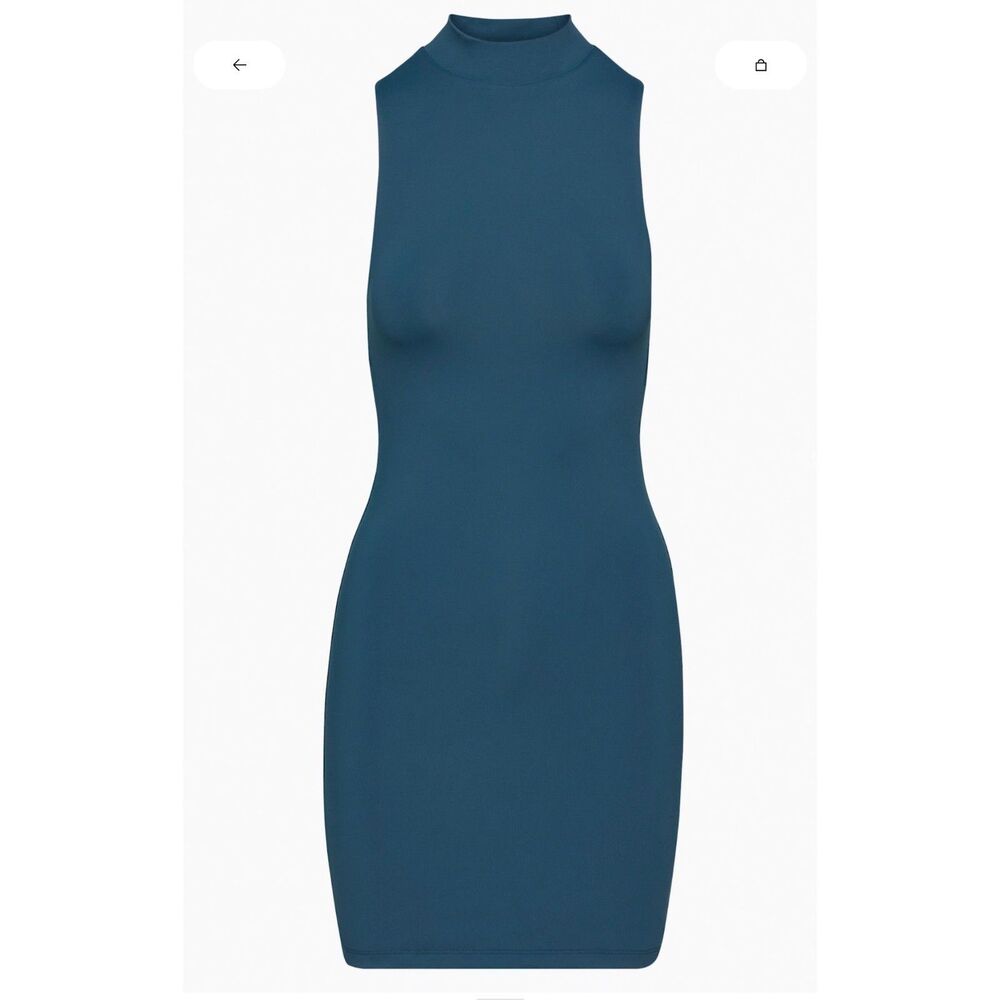 Aritzia Bodycon Dress